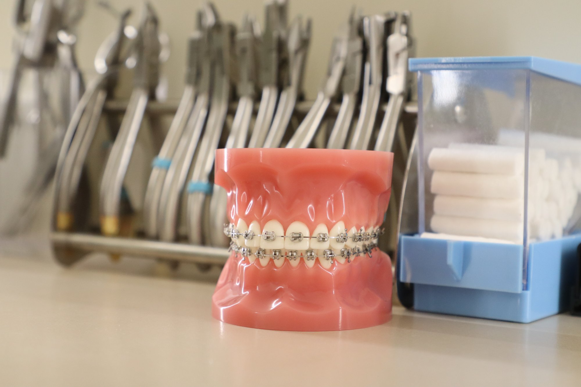 Modelo de ortodoncia con brackets metálicos